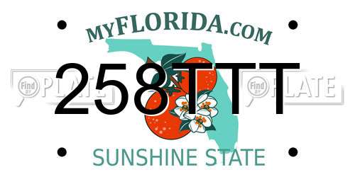 258TTT Florida License Plate