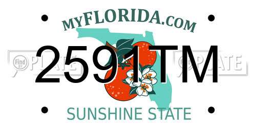 2591TM Florida License Plate
