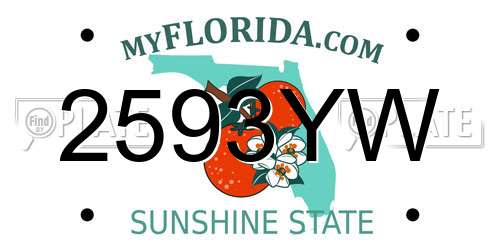 2593YW Florida License Plate