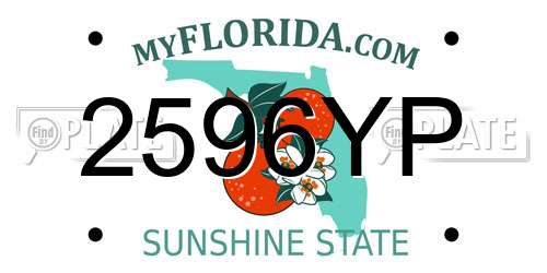 2596YP Florida License Plate