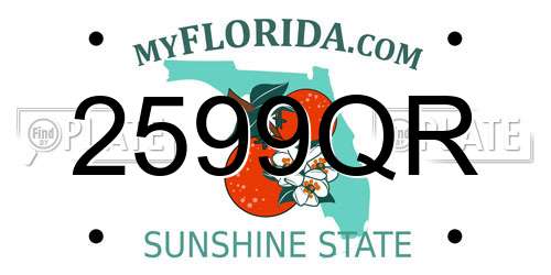 2599QR Florida License Plate
