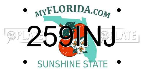 259INJ Florida License Plate