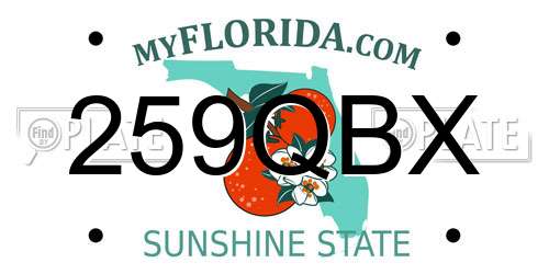 259QBX Florida License Plate