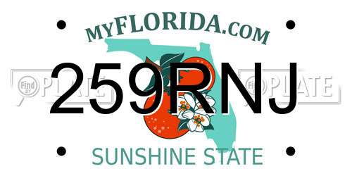259RNJ Florida License Plate
