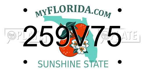 259V75 Florida License Plate
