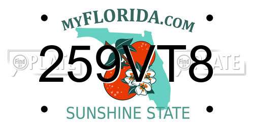 259VT8 Florida License Plate