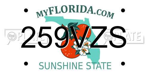 259VZS Florida License Plate