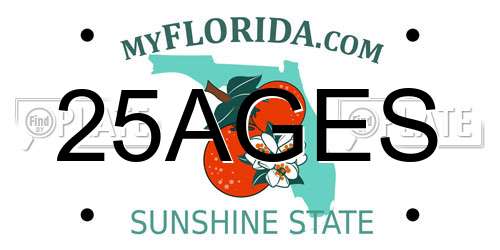 25AGES Florida License Plate