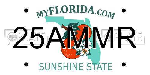 25AMMR Florida License Plate