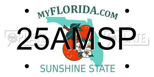 25AMSP Florida License Plate