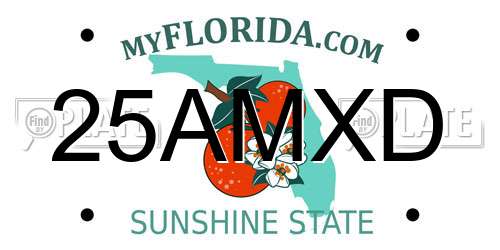 25AMXD Florida License Plate