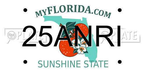 25ANRI Florida License Plate