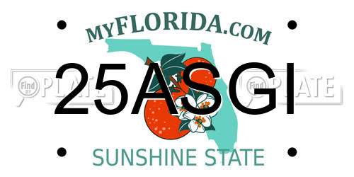 25ASGI Florida License Plate