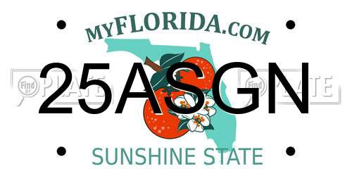 25ASGN Florida License Plate
