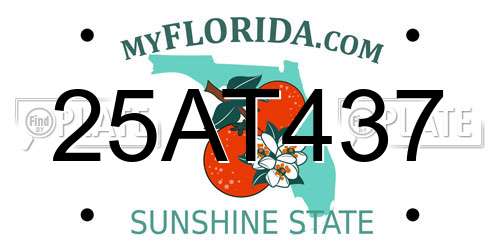 25AT437 Florida License Plate
