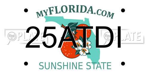 25ATDI Florida License Plate
