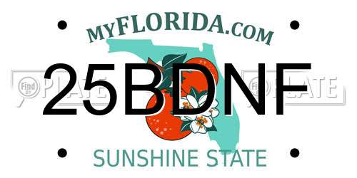 25BDNF Florida License Plate