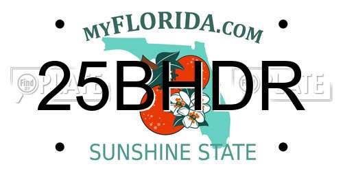 25BHDR Florida License Plate