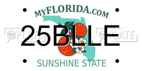 25BLLE Florida License Plate