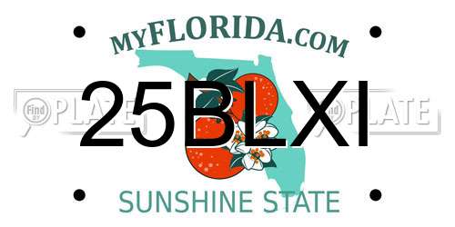 25BLXI Florida License Plate