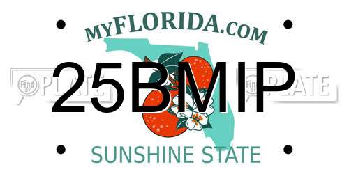 25BMIP Florida License Plate