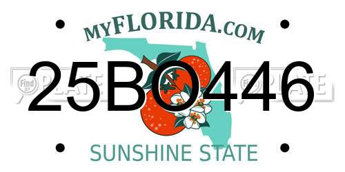 25BO446 Florida License Plate