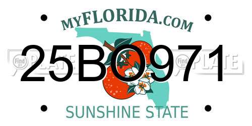 25BO971 Florida License Plate