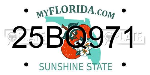 25BQ971 Florida License Plate