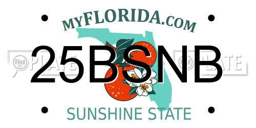 25BSNB Florida License Plate