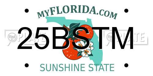 25BSTM Florida License Plate