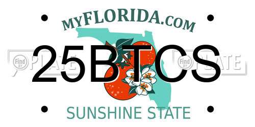 25BTCS Florida License Plate