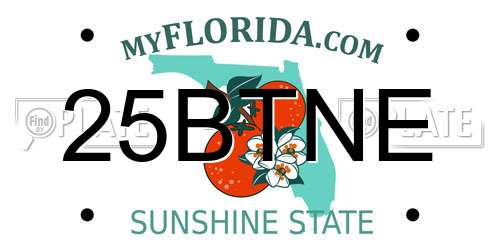 25BTNE Florida License Plate