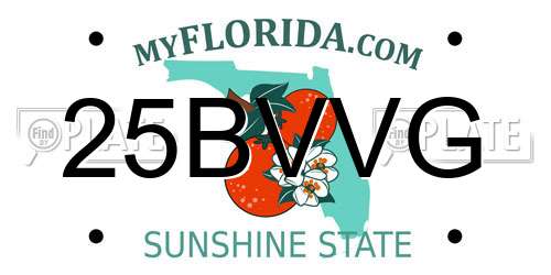 25BVVG Florida License Plate