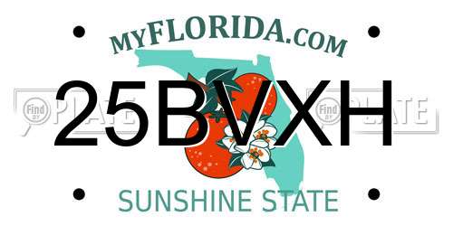 25BVXH Florida License Plate