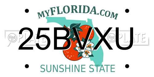 25BVXU Florida License Plate