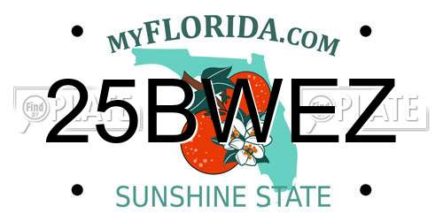 25BWEZ Florida License Plate