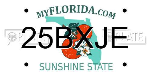 25BXJE Florida License Plate