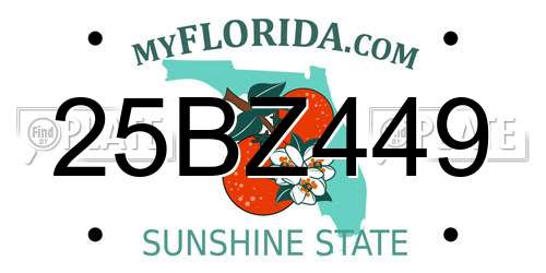 25BZ449 Florida License Plate