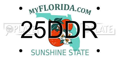 25DDR Florida License Plate