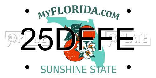 25DFFE Florida License Plate