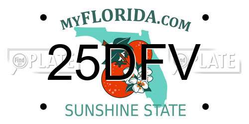 25DFV Florida License Plate