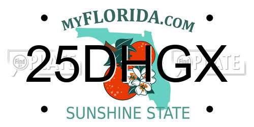 25DHGX Florida License Plate