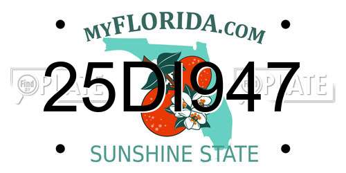 25DI947 Florida License Plate