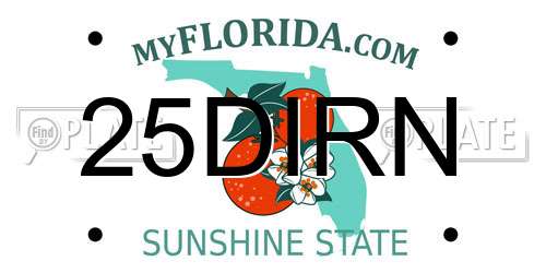 25DIRN Florida License Plate