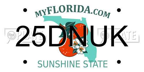 25DNUK Florida License Plate
