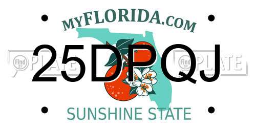 25DPQJ Florida License Plate