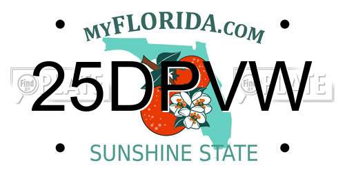 25DPVW Florida License Plate
