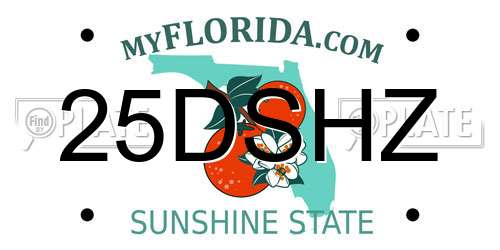 25DSHZ Florida License Plate