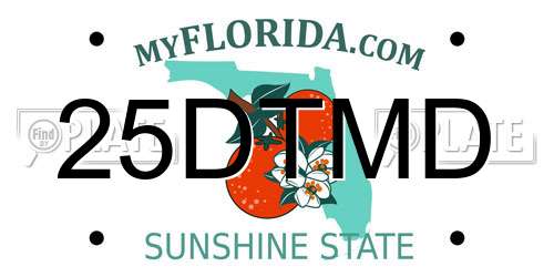 25DTMD Florida License Plate
