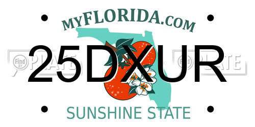 25DXUR Florida License Plate